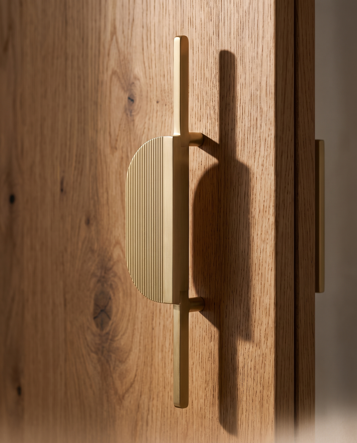 Serena Sculptural Brass Door Pull